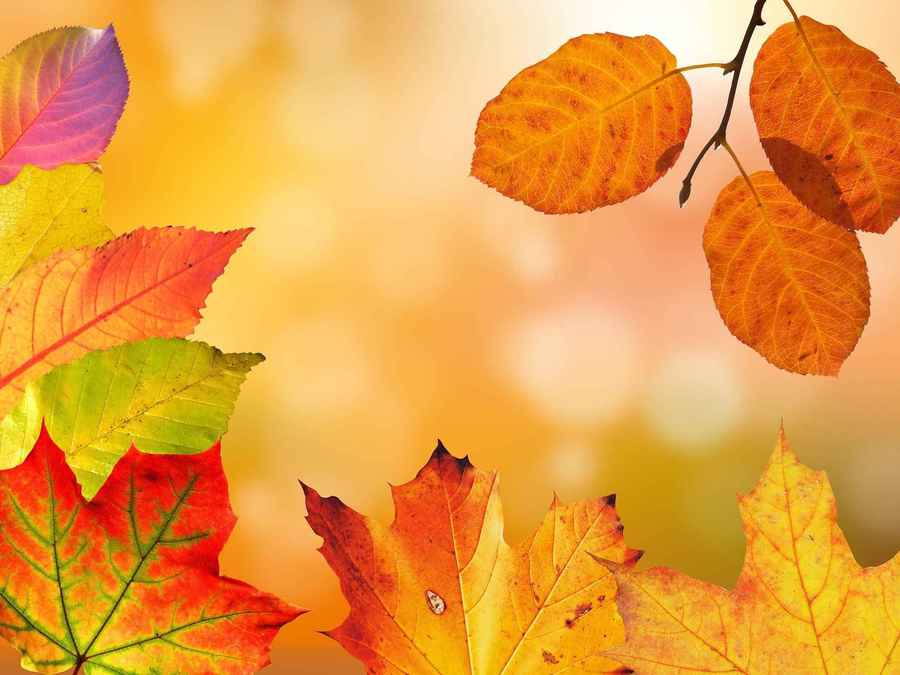 Asociatyvi pixabay.com nuotrauka