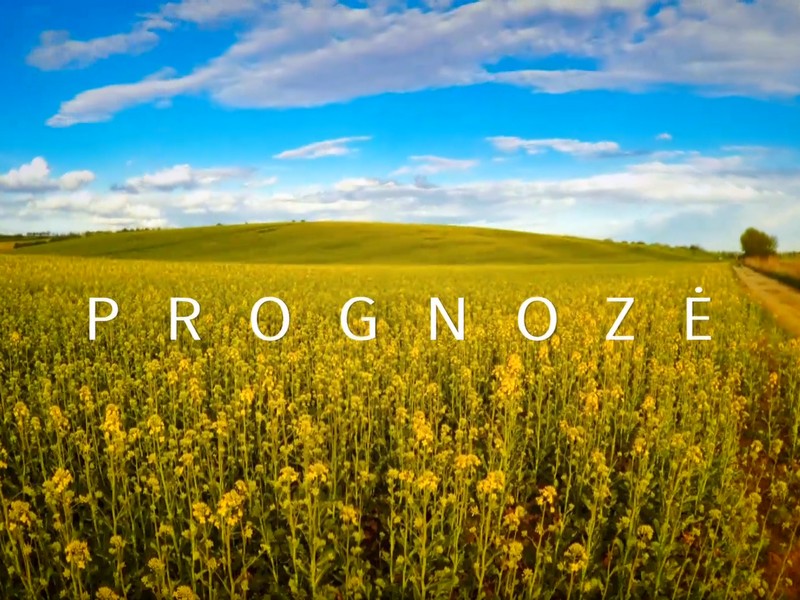 23 01 25 prognozeSV